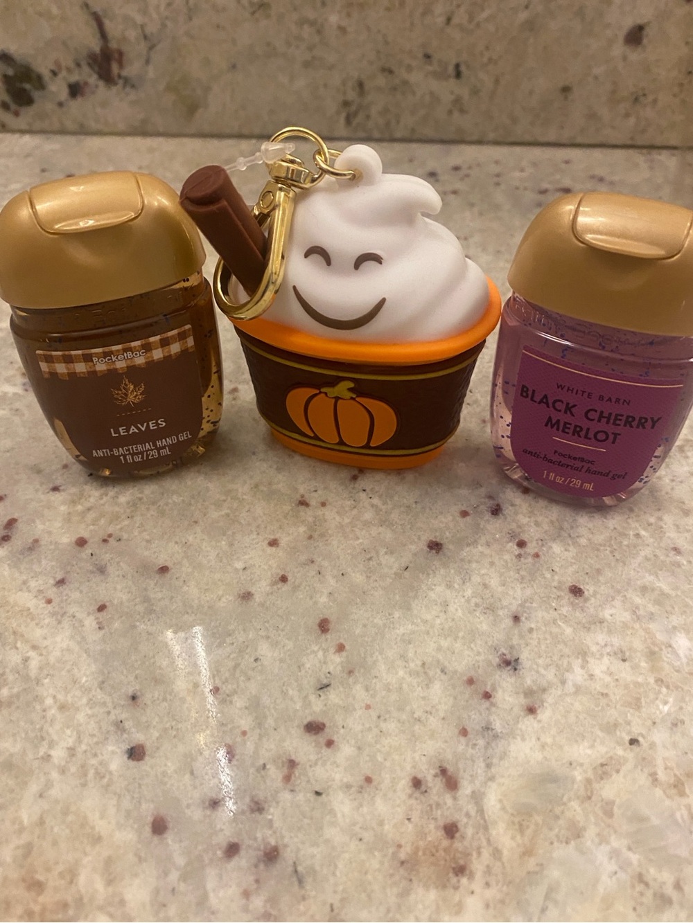 Bath & Body Works set - pumpkin latte hand gel holder bag Cham & 2 hand gels NWT